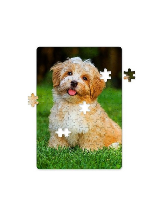 120 Piece Custom Photo Puzzles